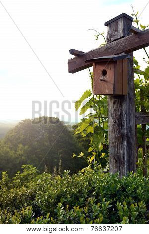 Bird House In Nature