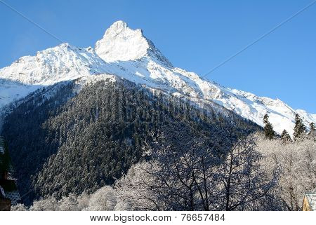 Mountain Top