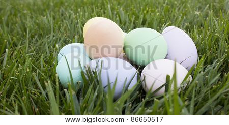 Pastel eggs on grass