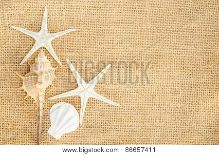 Shells On Sack Background.
