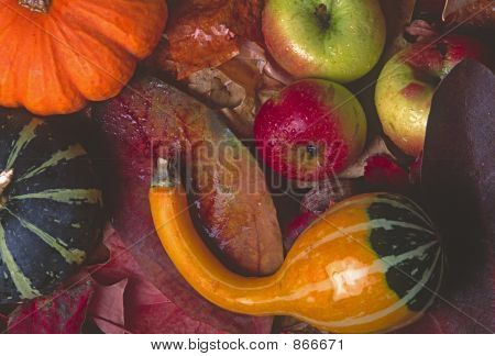 Gords And Apples