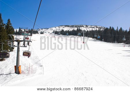 Alpine Ski Run