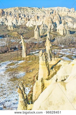 The Thin Rocks