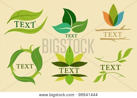 abstract, autumn, concept, design, eco, ecology, element