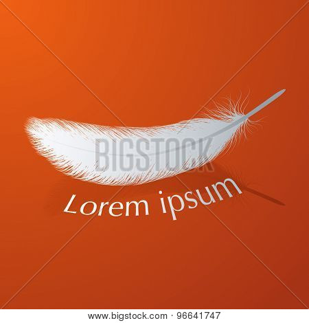 Feather Icon..