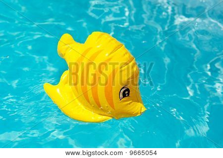 Toy In The Swimming Pool