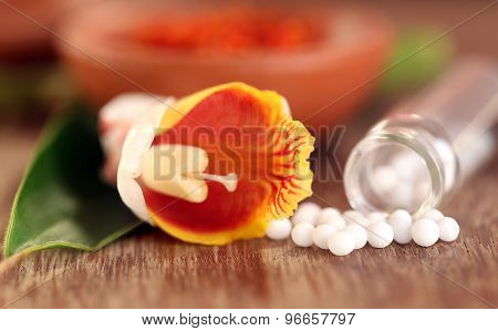 Homeopathy Globules With Herbal Flower