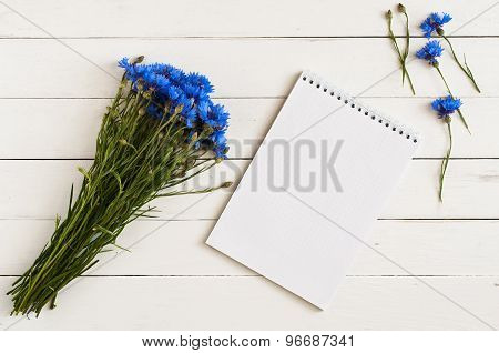 Blue Wildflowers