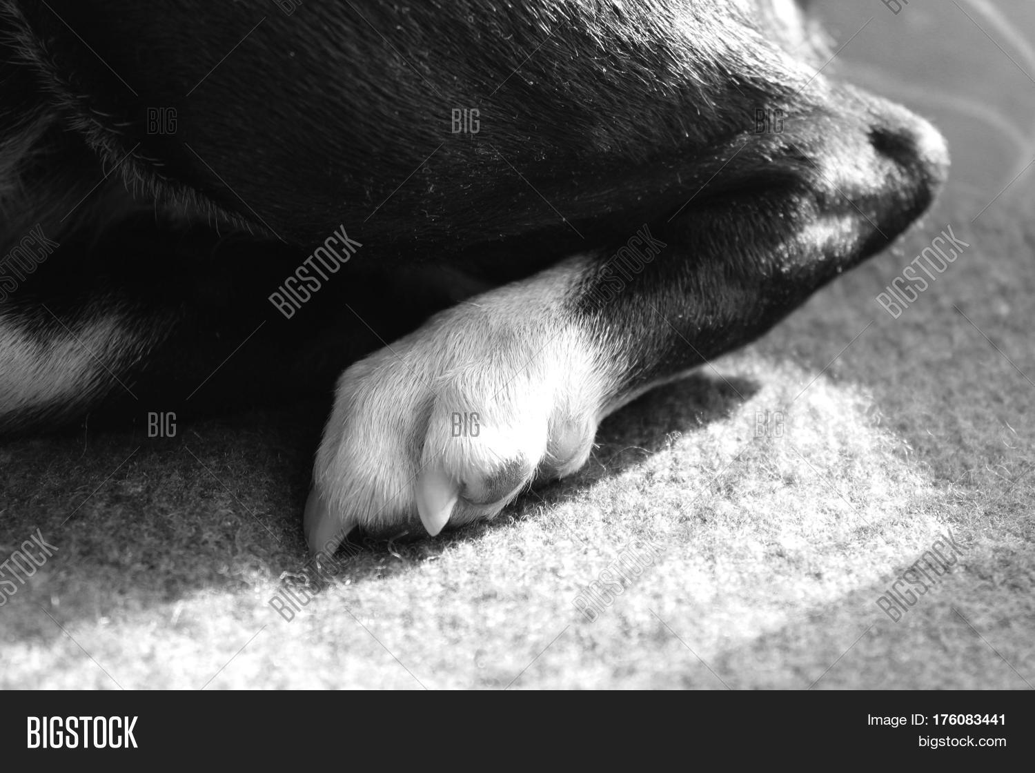 Bigstock bigstock