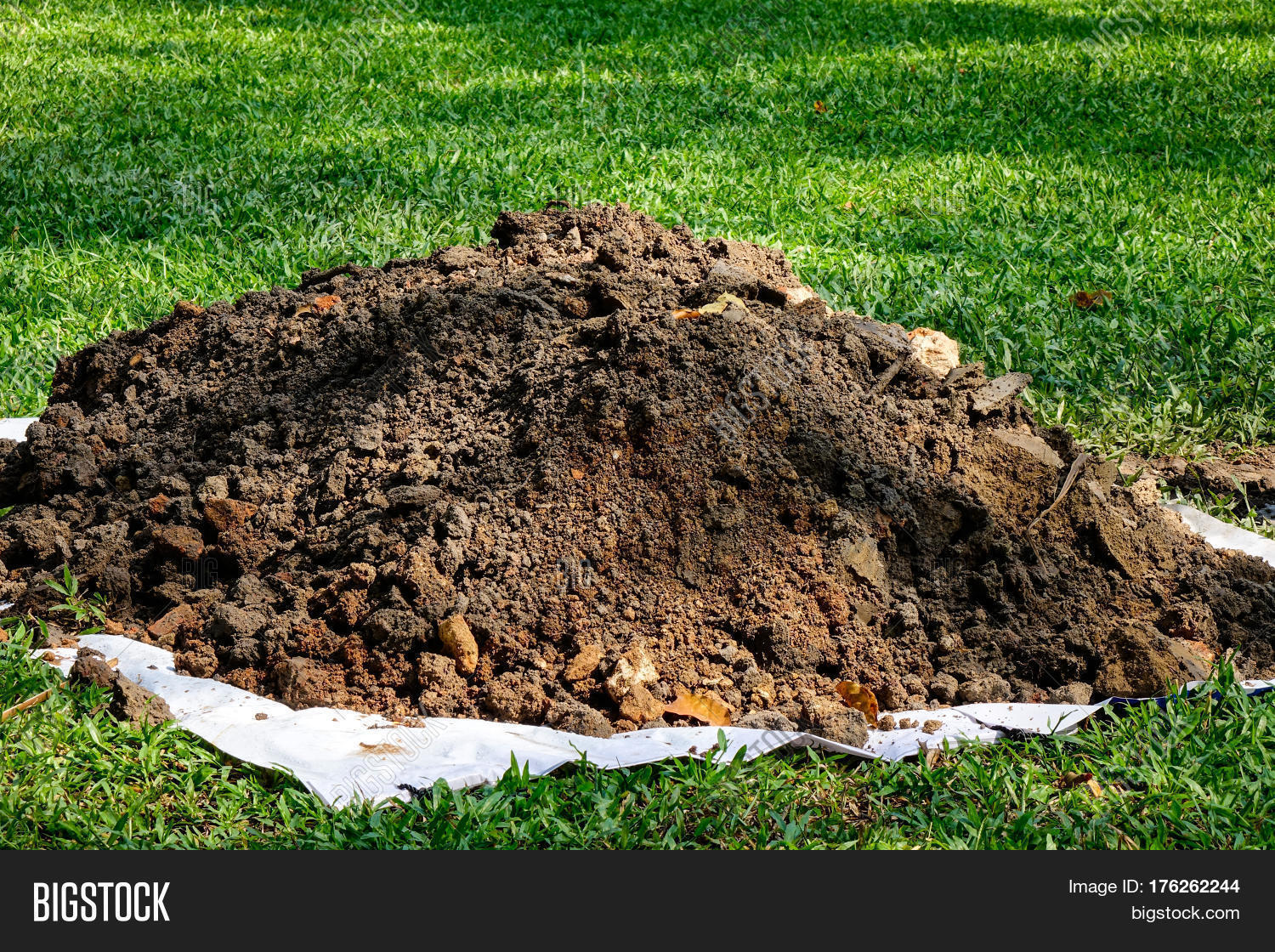 Pile Soil On Grass Image & Photo (Free Trial) Bigstock