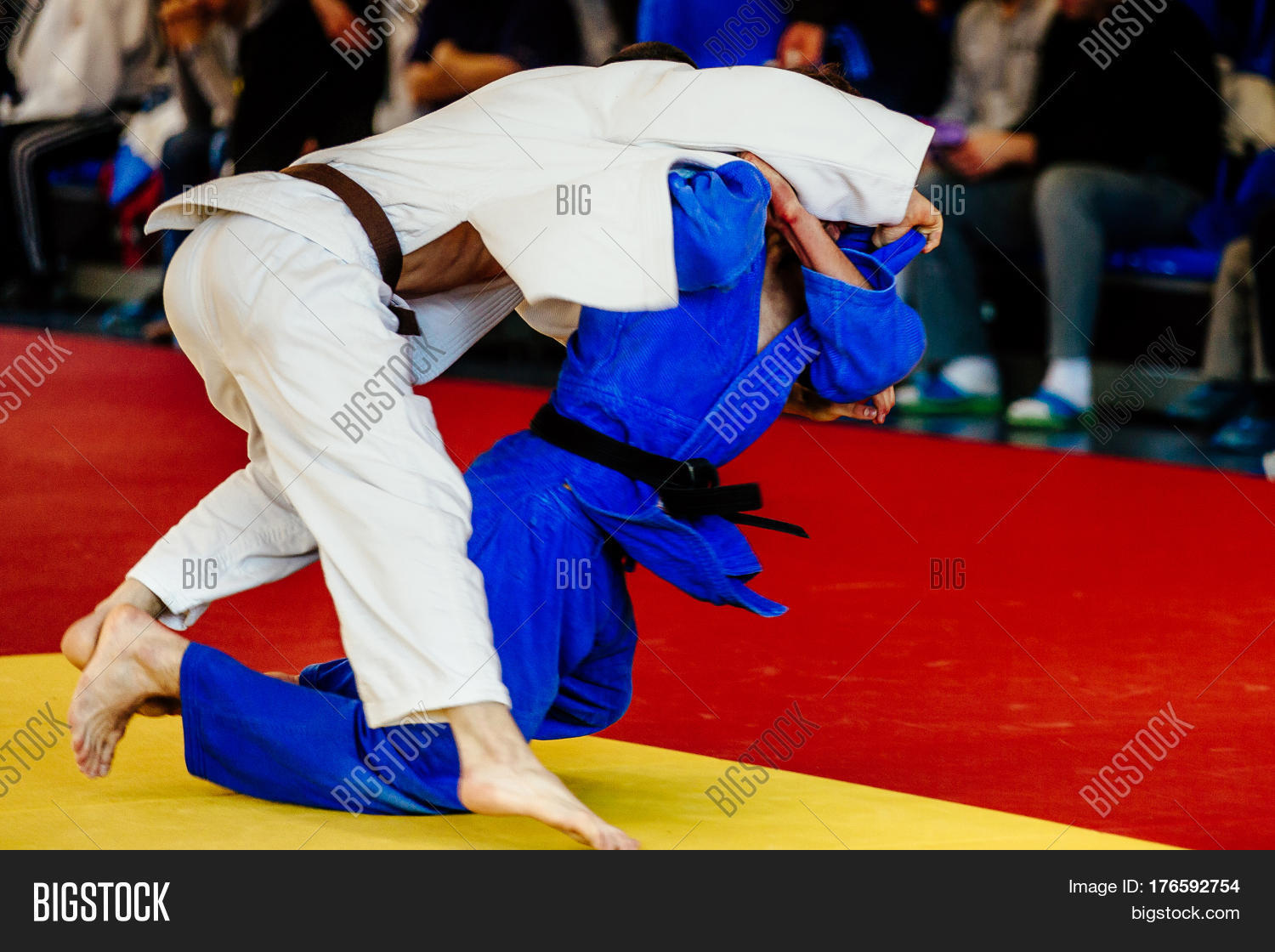 Male Fighter Judoka Image & Photo (Free Trial) Bigstock