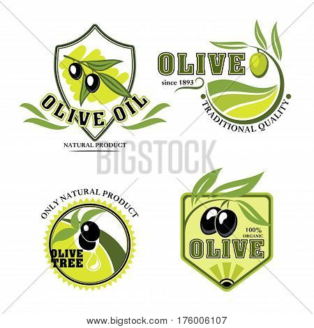 Olives icons for olive oil product or bottle label. Vector isolated emblems of green or black olive branches for industry company and farm store or organic vegetables market