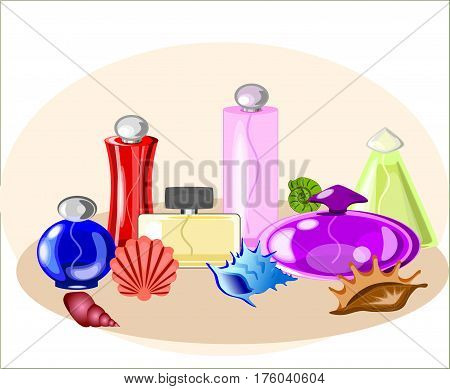 Vector Perfume set of bottles and shells decorative style