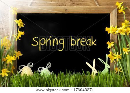 Blackboard With English Text Spring Break. Sunny Spring Flowers Nacissus Or Daffodil With Grass, Easter Egg And Bunny. Rustic Aged Wooden Background.