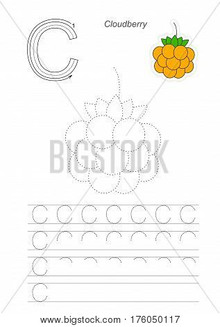 Vector illustrated worksheet to preschool children learn handwriting. Page to be traced for gaming and education with easy educational kid game level. Tracing worksheet for letter C. Cloudberry.