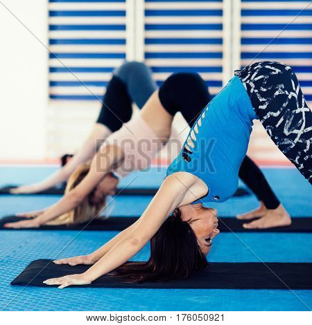 Yoga Class - group of women in downward dog position