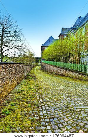 Belgian houses with gardens along a quiet street with hedges and trees. The old pavement covered with moss in St Hubert Belgium