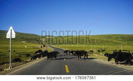 Mountain Scenery In Kham Tibetan, Sichuan, China