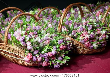 Pink tulips in the basket in studio on black background
