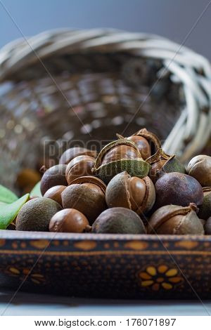 Macadamia nuts harvest close up with leaves