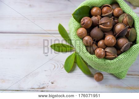 Macadamia nuts harvest close up with leaves