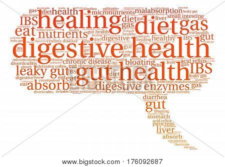 Digestive Health Word Cloud