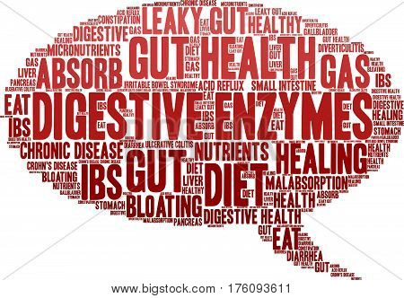 Digestive Enzymes Word Cloud