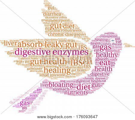 Digestive Enzymes Word Cloud