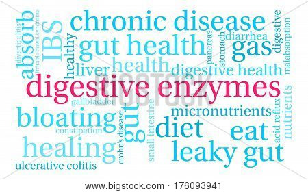 Digestive Enzymes Word Cloud