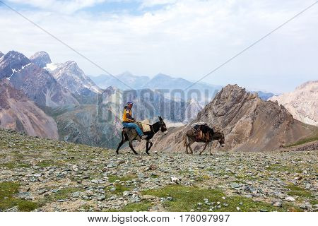 Donkey caravan in remote Asian mountain area. Fan Mountains, Alaudin pass, Tagikistan, Middle Asia, July 16, 2015