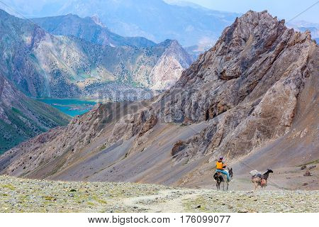 Wild Mountain Landscape and cargo Donkey Caravan delivering goods to remote location