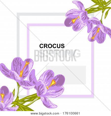 Spring Floral Card