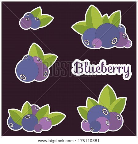 Set of blueberries and leaves isolated on brown. Vector illustration logo or tag of ripe blueberry and green leaf