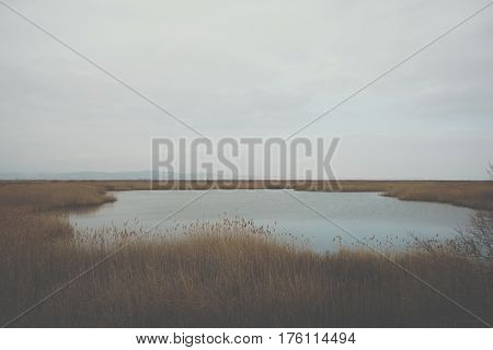 Part Of The Delta Of River Evros, Greece