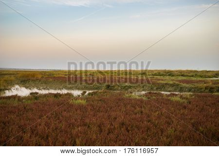 Part Of The Delta Of River Evros, Greece