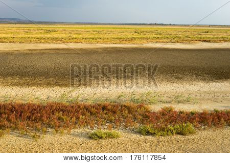 Part Of The Delta Of River Evros, Greece