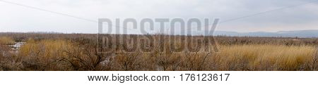 Part Of The Delta Of River Evros, Greece, Panoramic View