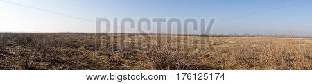 Part Of The Delta Of River Evros, Greece, Panoramic View