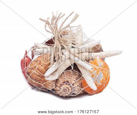Decorative bag of various seashells from Red Sea isolated on white background