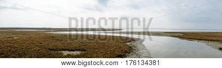 Landscape On Delta Of River Evros, Greece, Panoramic View