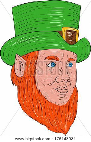 Drawing sketch style illustration of a leprechaun head looking to the side in a three quarter view set on isolated white background.