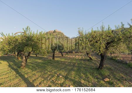 By the village of Vilafames in Castellon