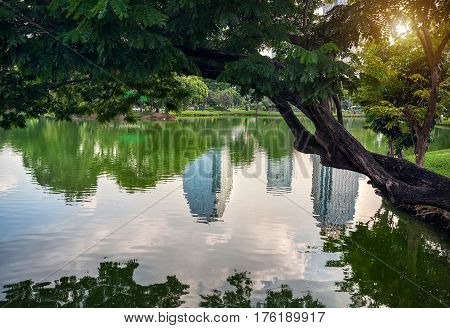 Lumpini Park And Skyscrapers In Bangkok