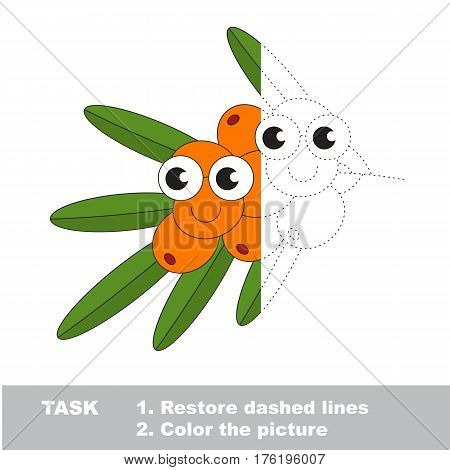 Buck thorn branch in vector to be traced. Restore dashed line and color the picture. Visual game for children. Easy educational kid gaming. Simple level of difficulty. Worksheet for kids education.