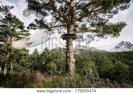 Zip line in woodland against snow capped mountain range. Navacerrada Madrid Spain