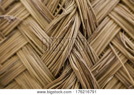 Esparto grass texture. Esparto background. Closeup view of esparto texture for designers. Pattern, background and texture for designers. Abstract pattern.