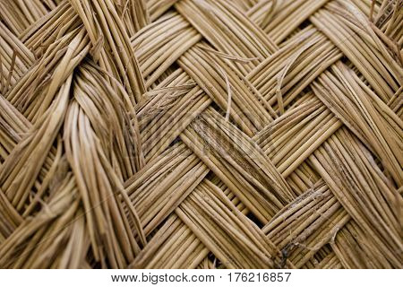 Esparto grass texture. Esparto background. Closeup view of esparto texture for designers. Pattern, background and texture for designers. Abstract pattern.