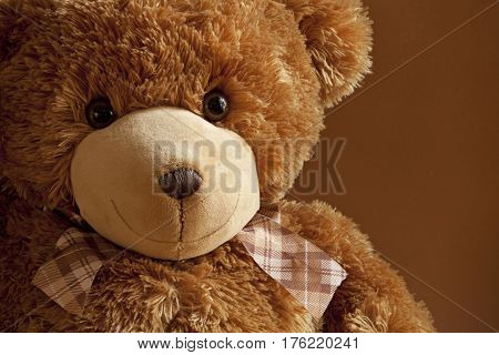 Cheerful Kind friend plush teddy bear cute toy