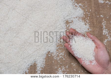 White Rice. Jasmine Rice Thai Rice Raw Rice.