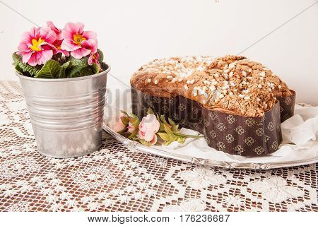 Easter dove on a board with lace tablecloth and a jar with primroses.